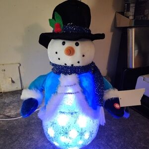 Christmas Lighted Snowman